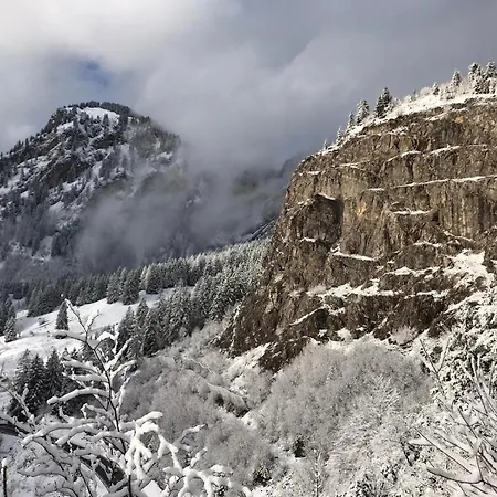 Staufen Stern *